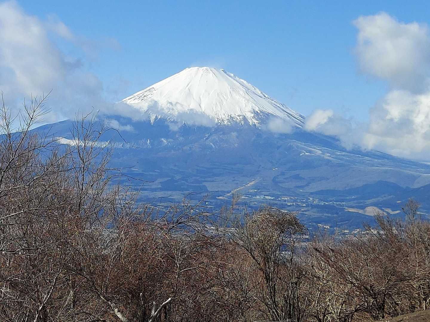 ミツマタの頃にまた来たいな