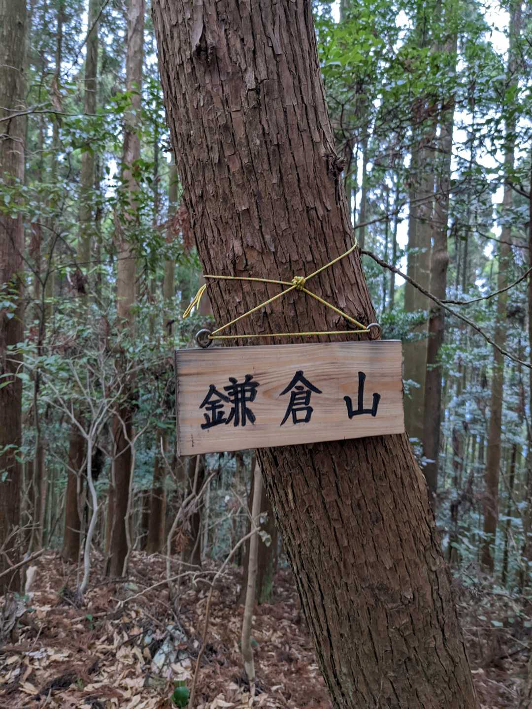 山頂着です。