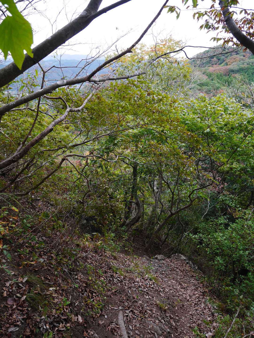 西金砂神社-西金砂山-地割 往復コースの写真