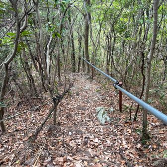 急坂ですが、階段になっているし、手すりはあるしで、歩きやすーーい！