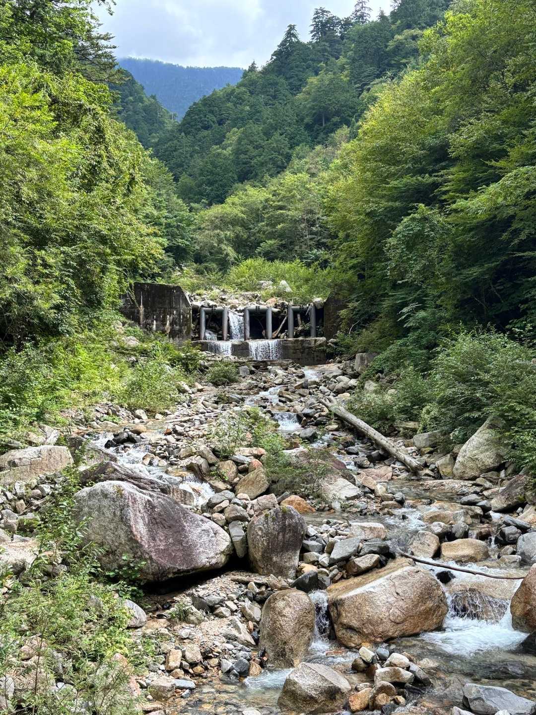 往路は川の美しさを見る余裕がなく、、
心のゆとりってダイジだなあと😌