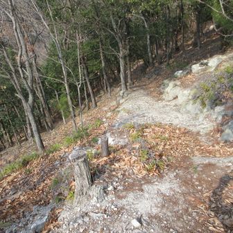 右へ巻いて下ります