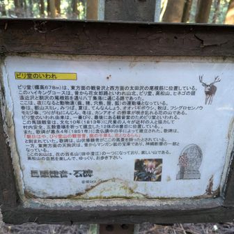 ビリ堂の由来。最後にあるって、だからどこの間の最後なのよ？