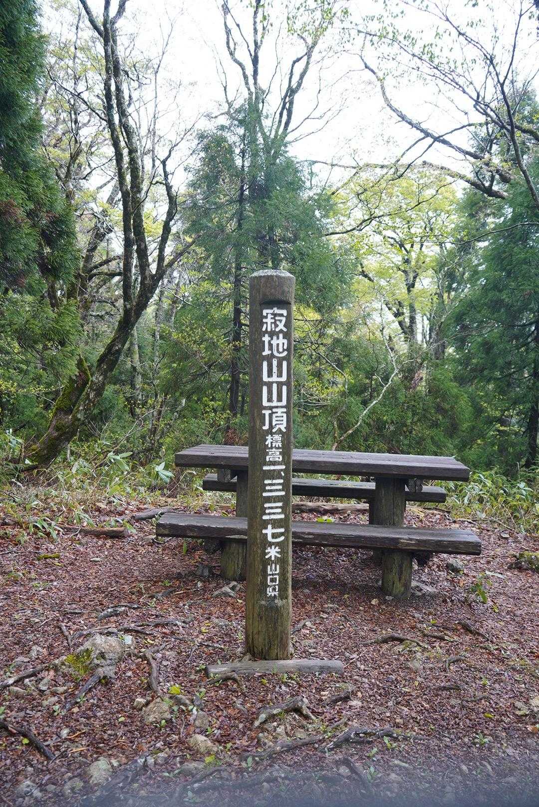 樹林帯の中を登っていくと程なく山頂へ到着。
途中、カタクリがたくさん咲いてたけど、、前日の雨でぐったりしてた。前週のレポ見たら結構咲いてて少し期待していたのに残念😭