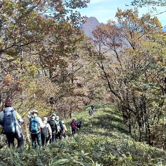 再び下るけど最後部の白い方は榛名山を熟知している高崎の方、ずっと一緒に山の話をして歩きました😅