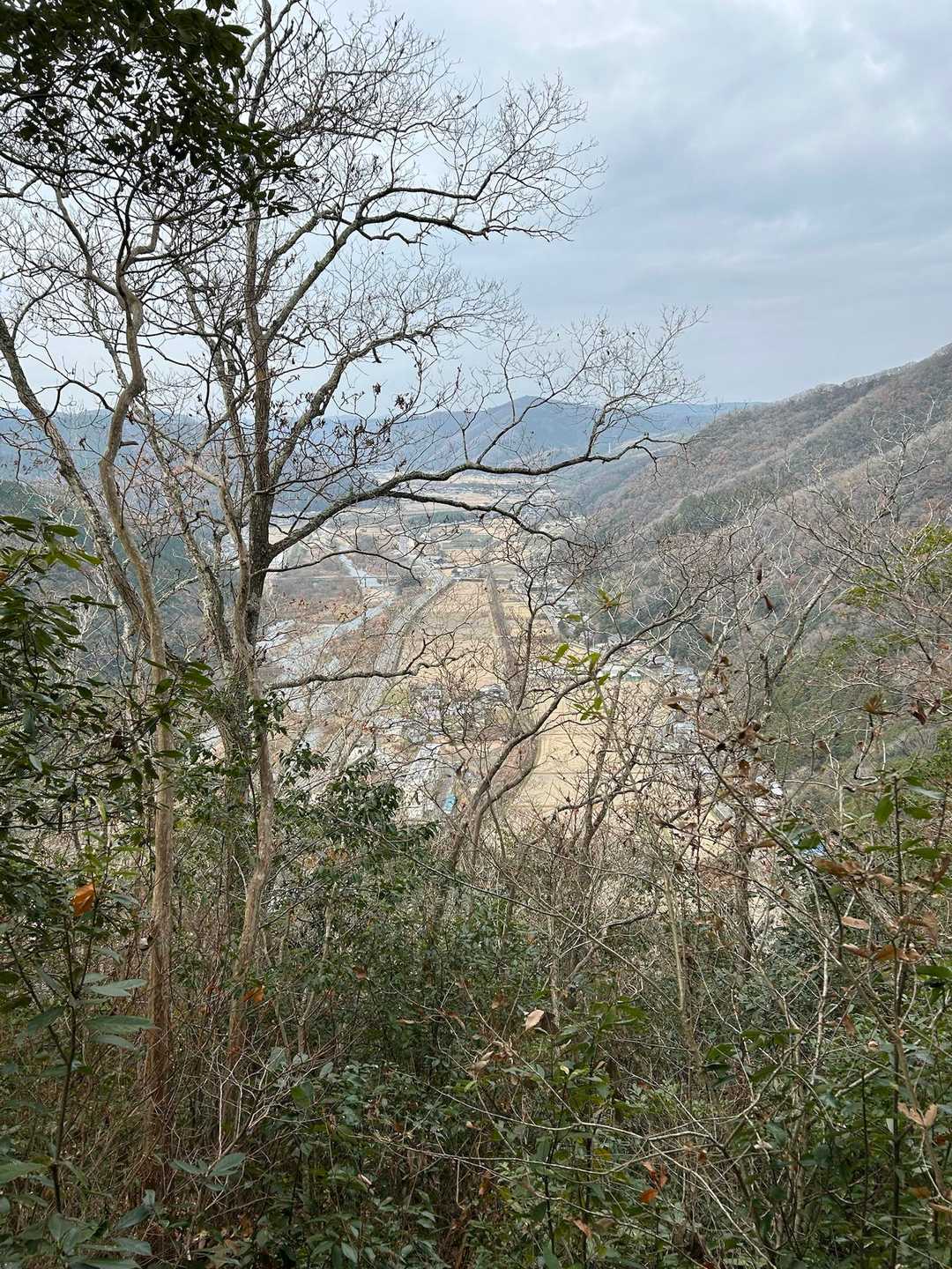 本丸から下山途中の眺めです👀