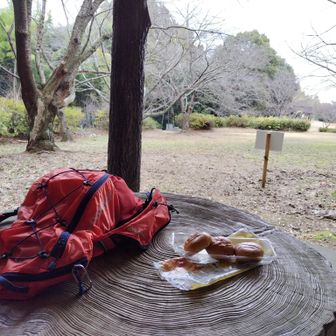 夏の広場の隣は春の丘。ここで2度目の小休止。ピーナツクリームパンはここで完食。
(^o^)ゞ
