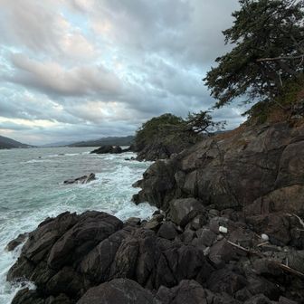 東側方面　🌊