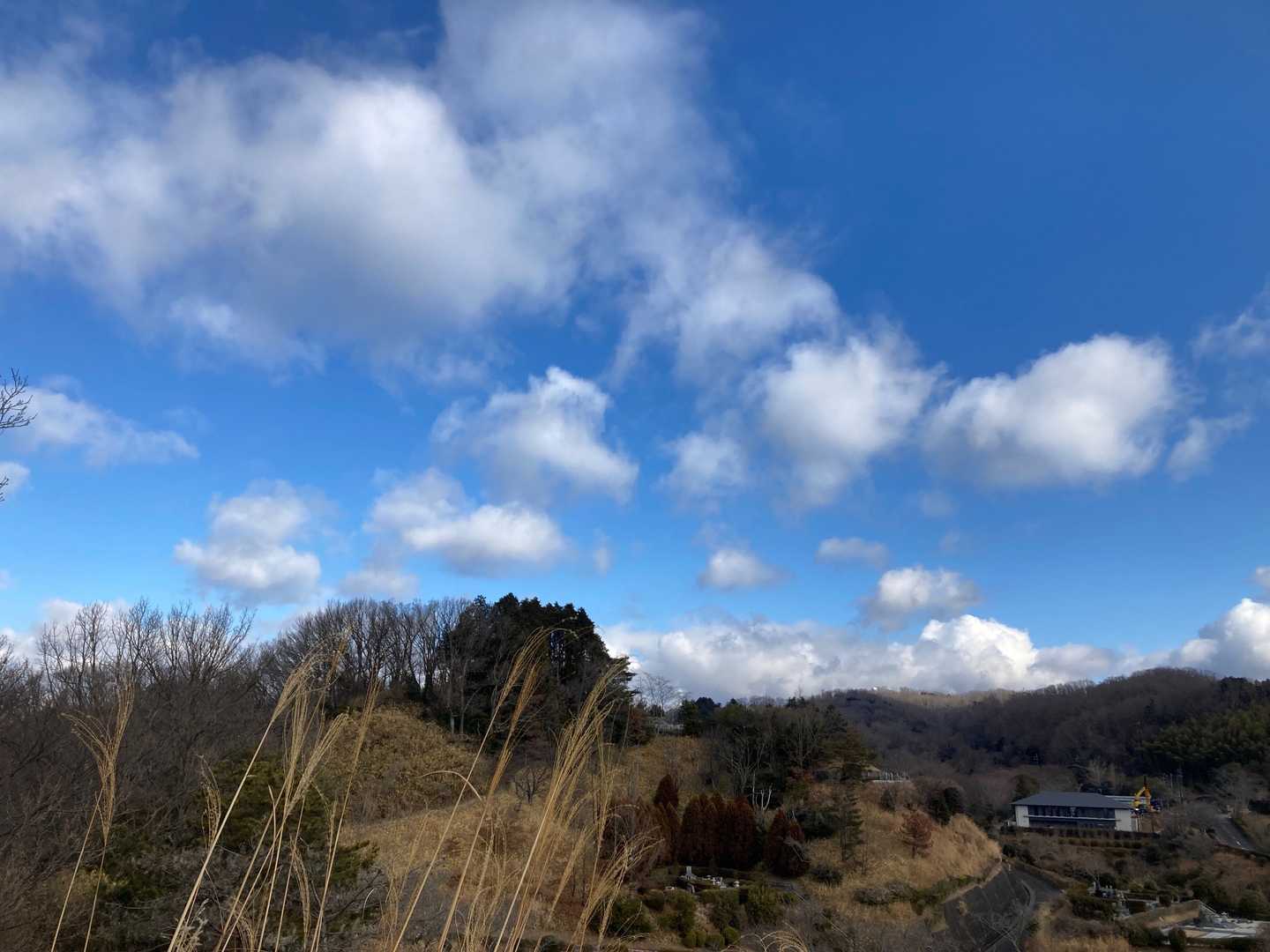 柏原駅-堅下駅-鐸比古鐸比賣神社-高尾山登山口-高尾山-高 縦走コースの写真