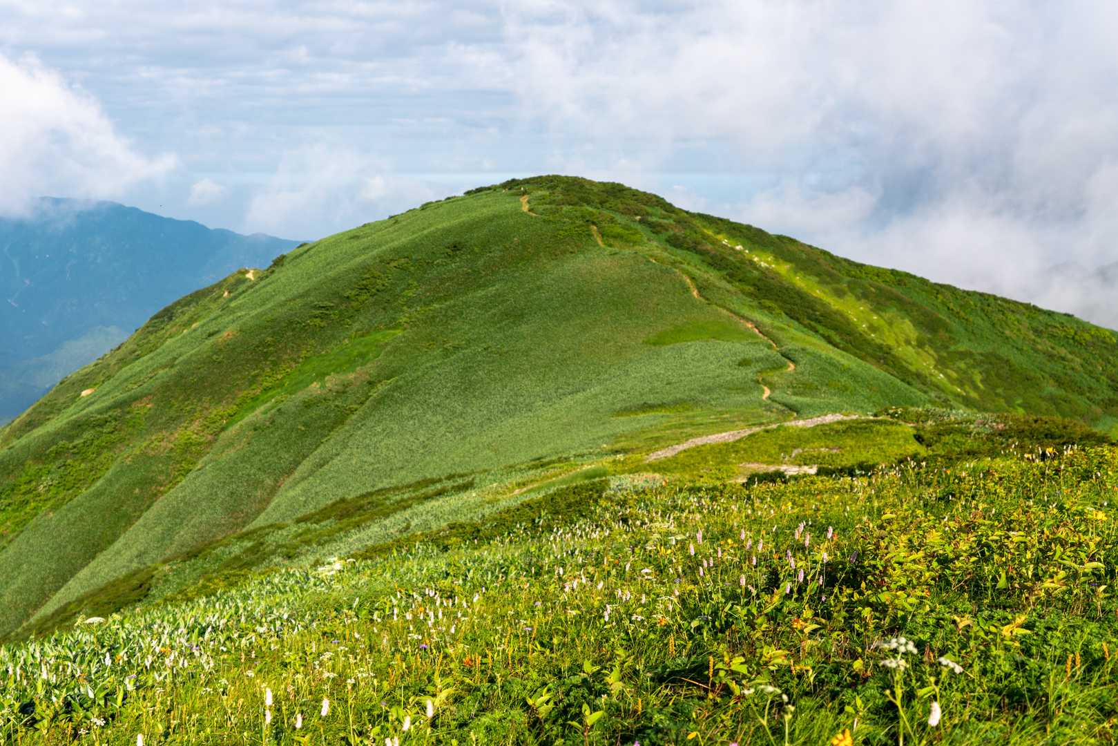 足の松尾根登山口-頼母木山-朳差岳 往復コースの写真