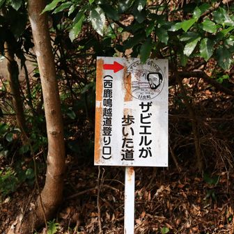 ザビエルが歩いた道を進む👉