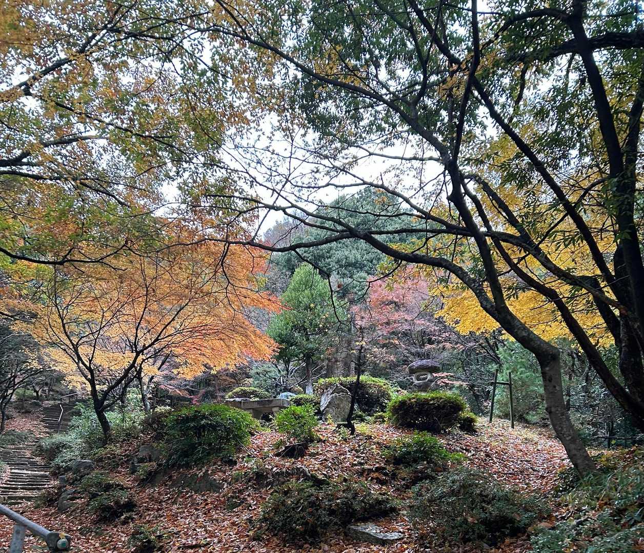 途中に、まだ紅葉の残る庭園もあります