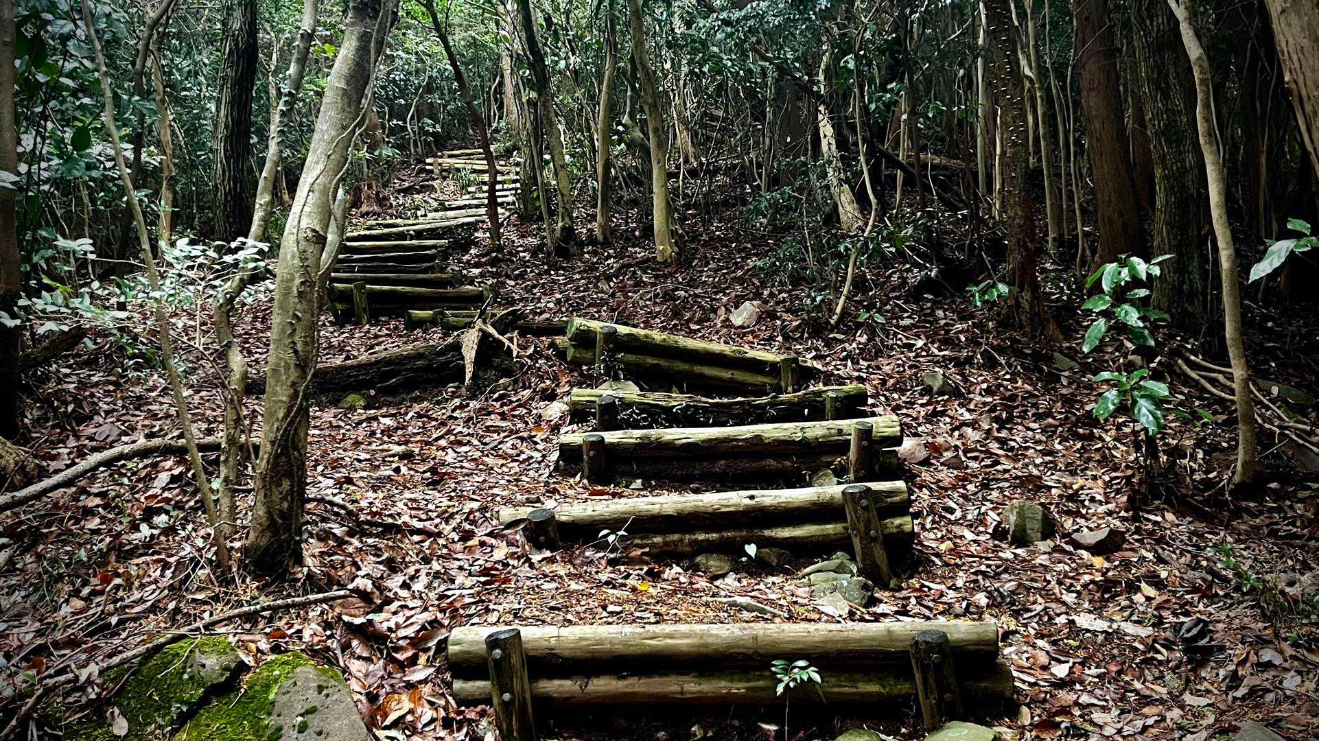“三ノ岳”も 登山道は整備良好ですが なかなかの勾配です💦