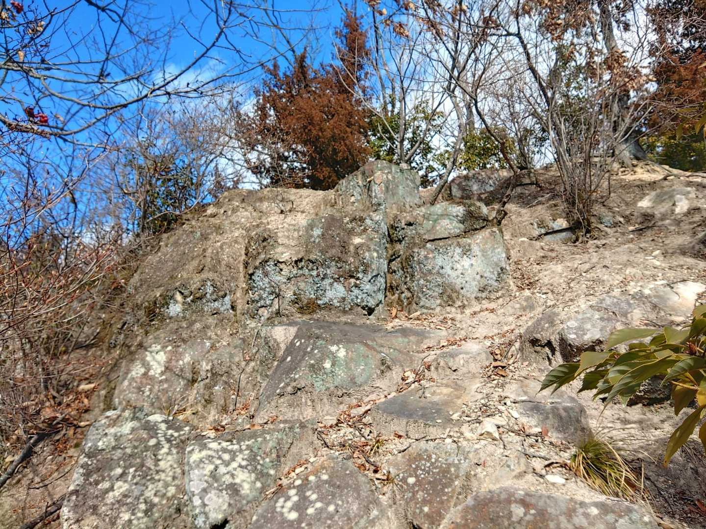 山城跡？🏯