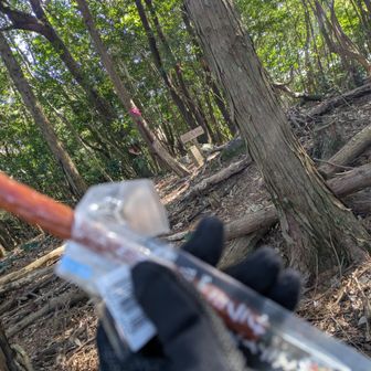 眺望無いけど、ココでサラミTIME😁👌
お昼過ぎると少しづつ寒くなってくるから油摂取🐷💕
こりゃ正月太り解消は無理ですな🤣🤣🤣