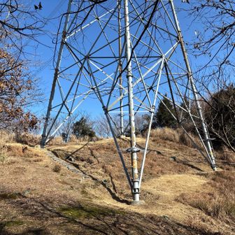 またも九州電力送電線鉄塔