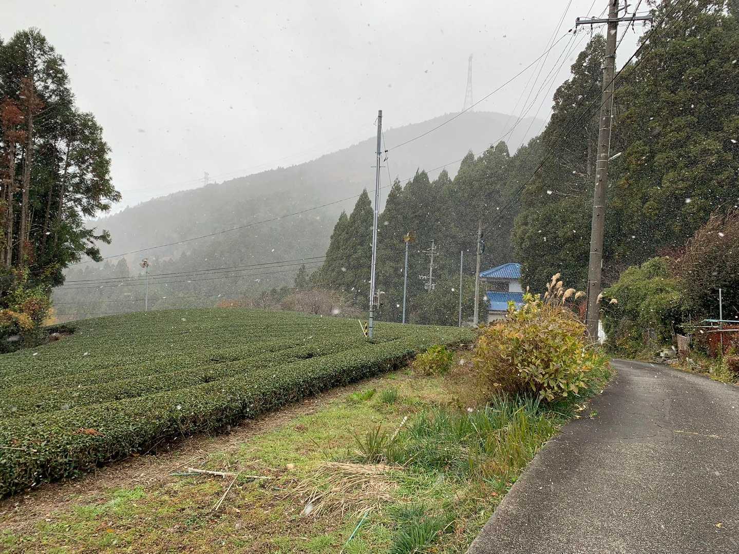 下山途中から、強風and雪が降ってきたぁ❄️
