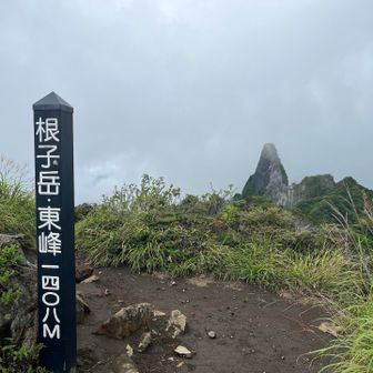 ガスってるけど、何も見えないよりいい！