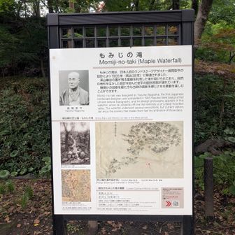 もみじの滝