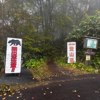 行ってきます