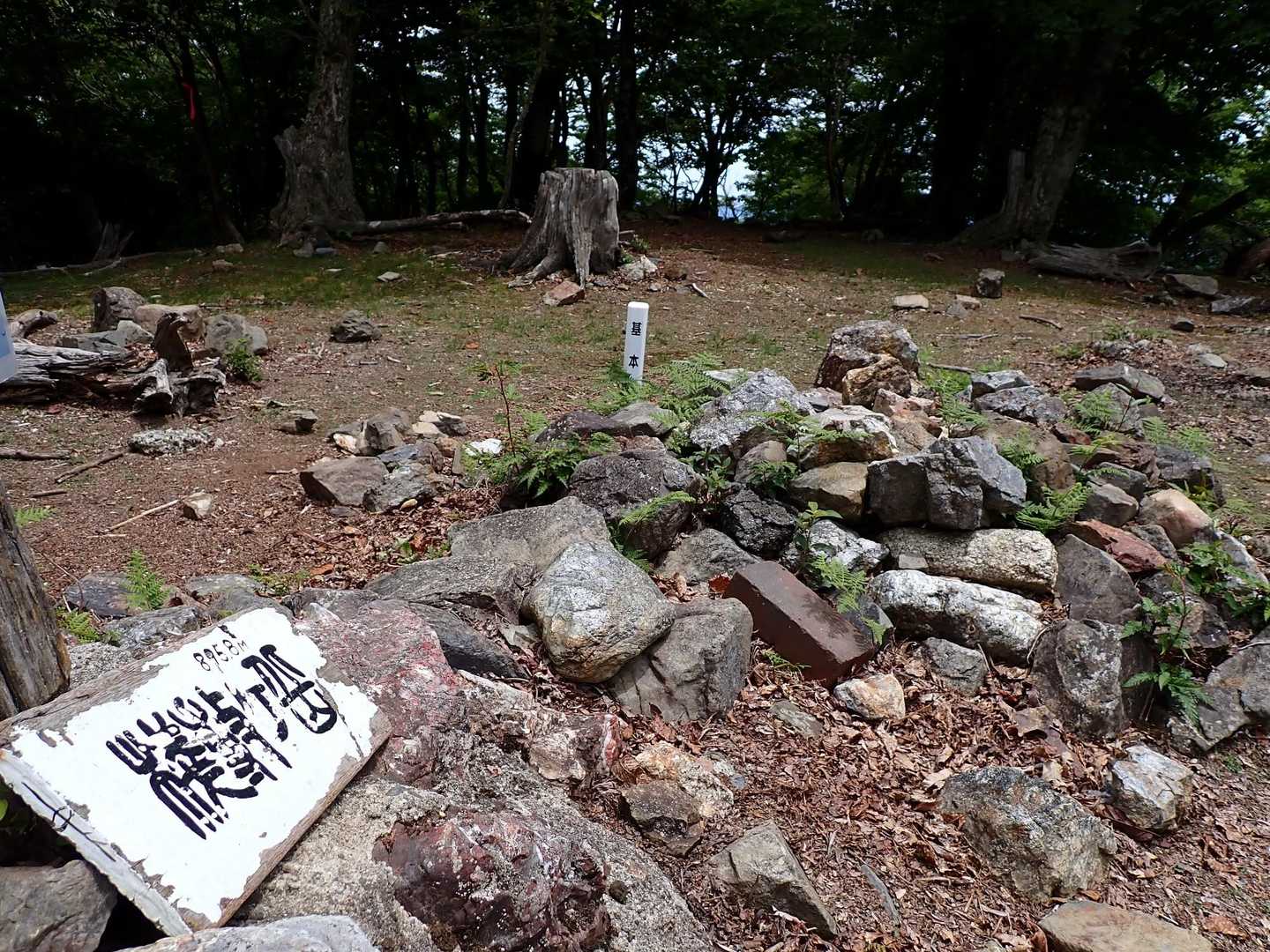 なだらかな尾根のおかげで労せずしてお目当ての山頂へ、雲取山山名板同様のフォントだがこちらは私には読めない(笑)
