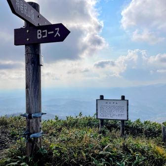 時間かけ過ぎたのでBコースで下山
