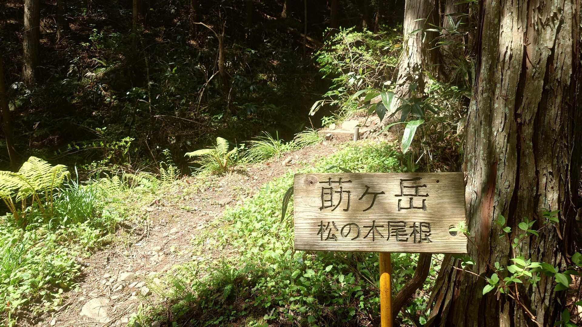 駐車場には車が10台位停まってて、奥の登山口には人がわんさかいてはるから、こっちから登ろ。💦