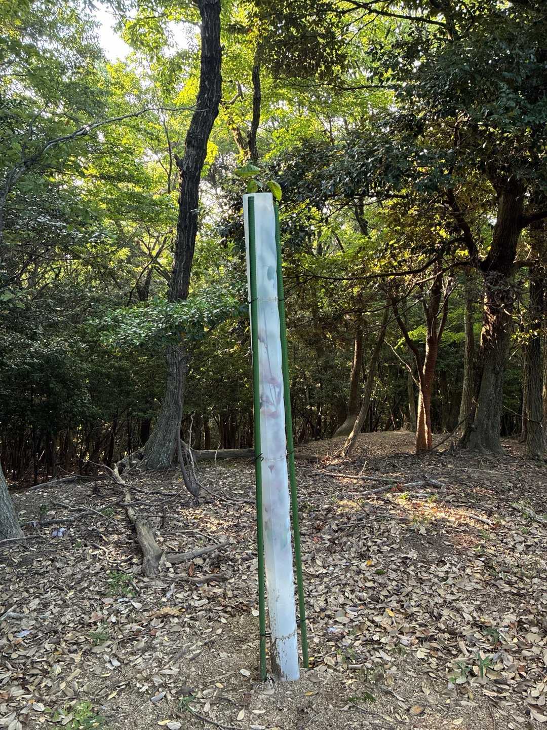 一番下