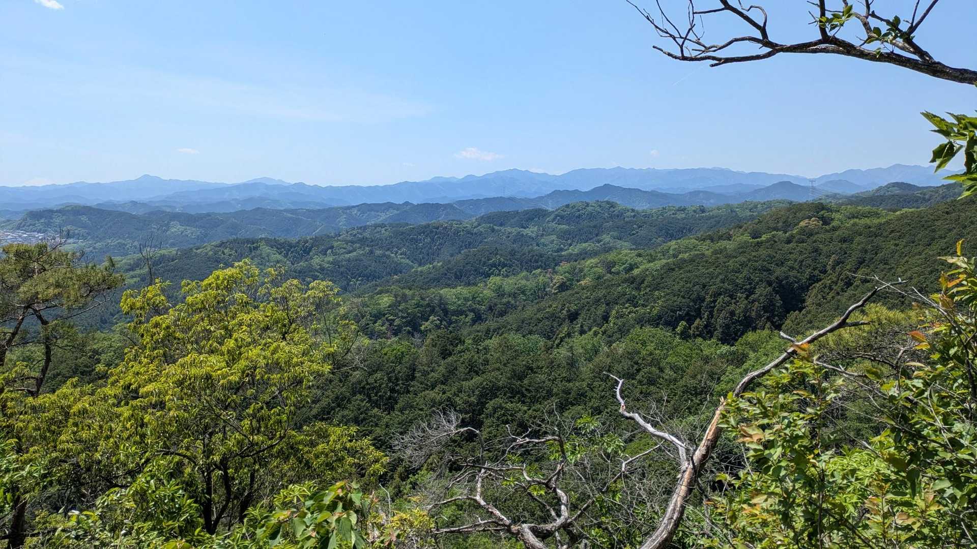 遠く丹沢まで見通せました