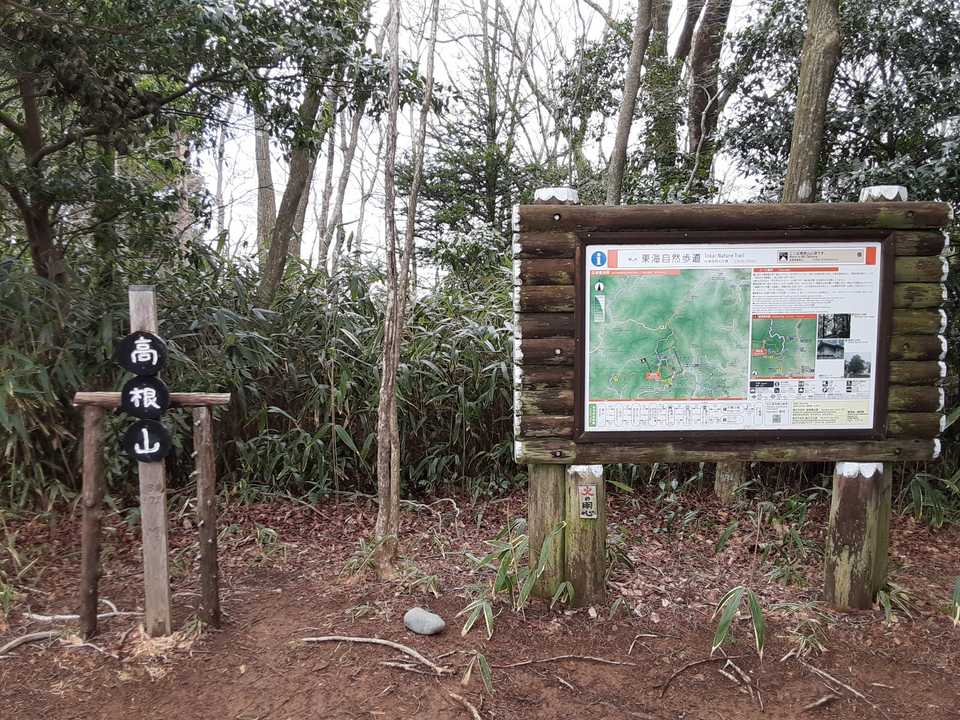 あっという間に、高根山⛰️871mに到着しました。