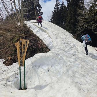 こっちから登ります！
「駒見山 見晴らし新道」