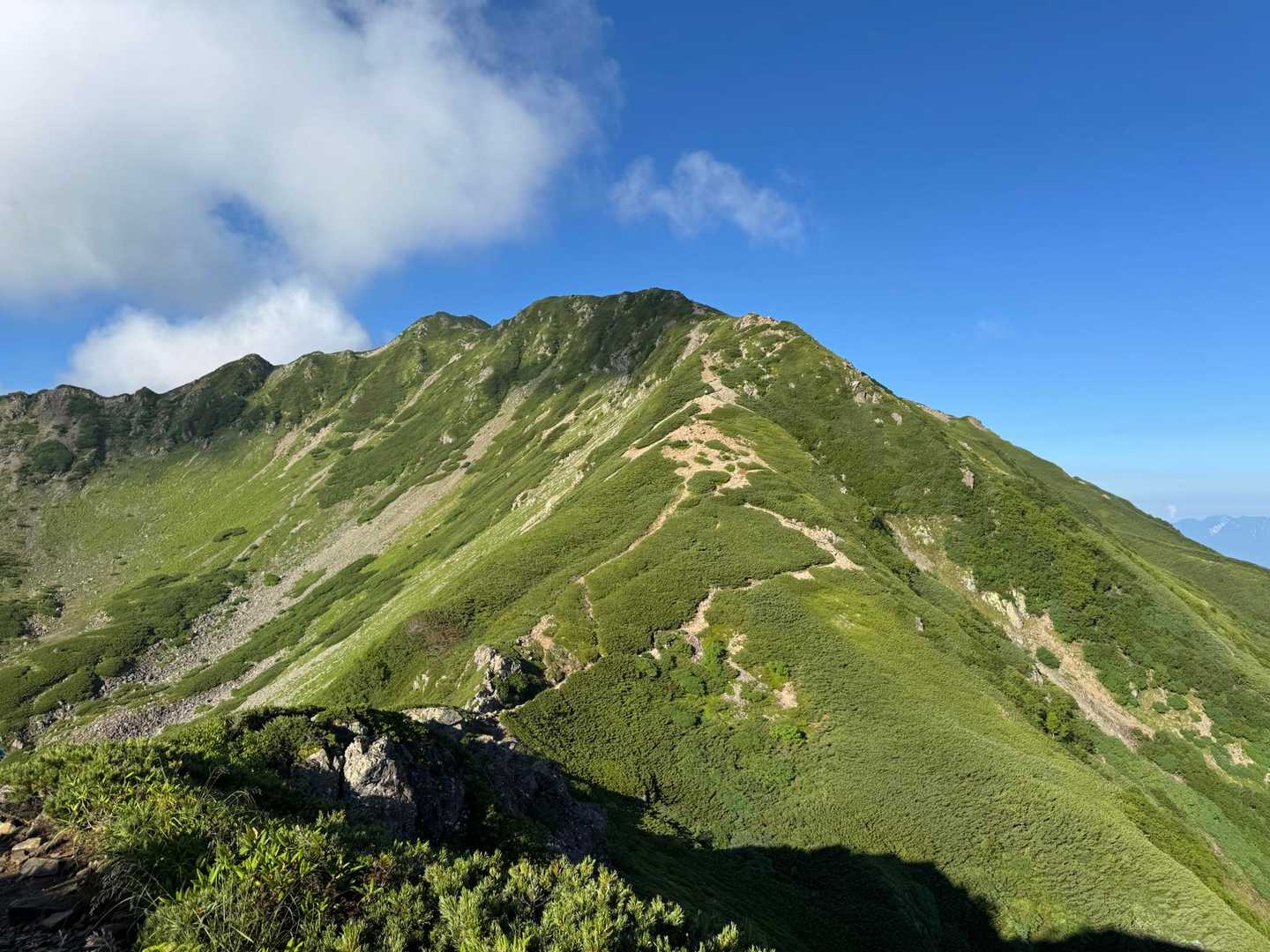 北沢峠-小仙丈ヶ岳 往復コースの写真