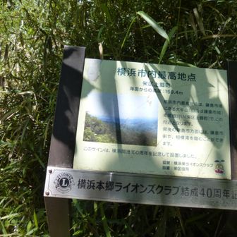 これが証です。（山ではありませんあくまでも地面です）