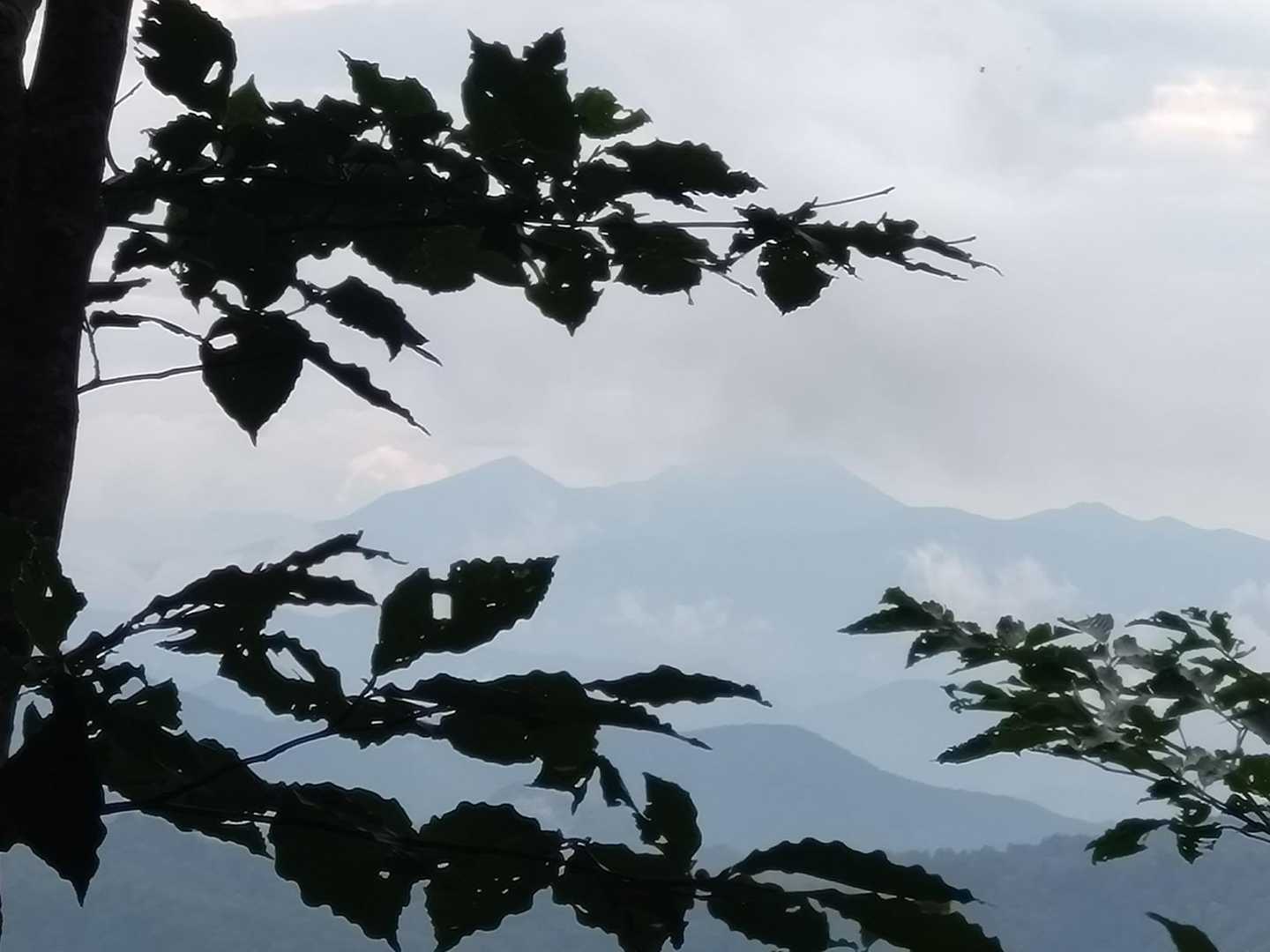 景色は…

今日はまぁ期待しないで下さい。😅
