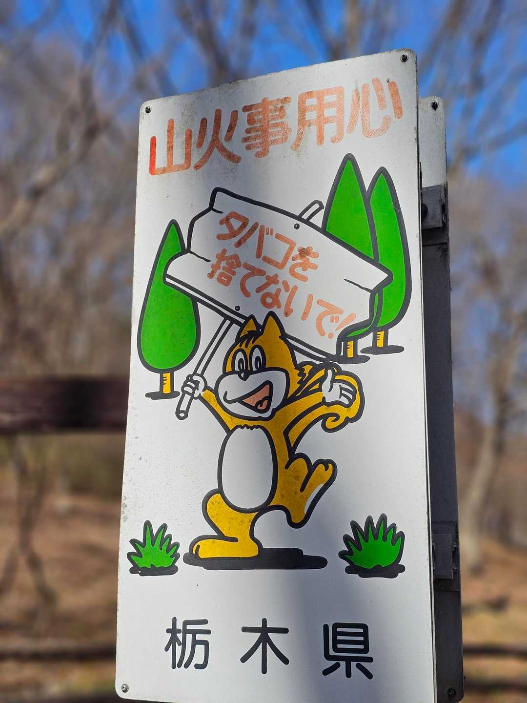 気付けば禁煙始めてから10年目🚭