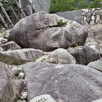 ゴジラ岩
mont-bellショップに寄り道して
裏道登山口近くの駐車場までテクテク