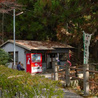 ここの売店やってるの初めて見ました。