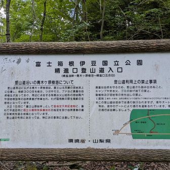 精進口登山道へ
青木ヶ原樹海🌿わくわく♫