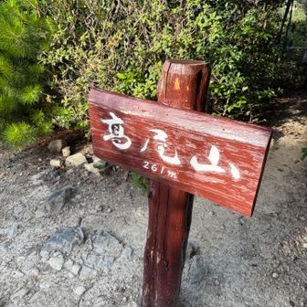 汗だくで登頂🚶
こちらの標高は261m⛰️

