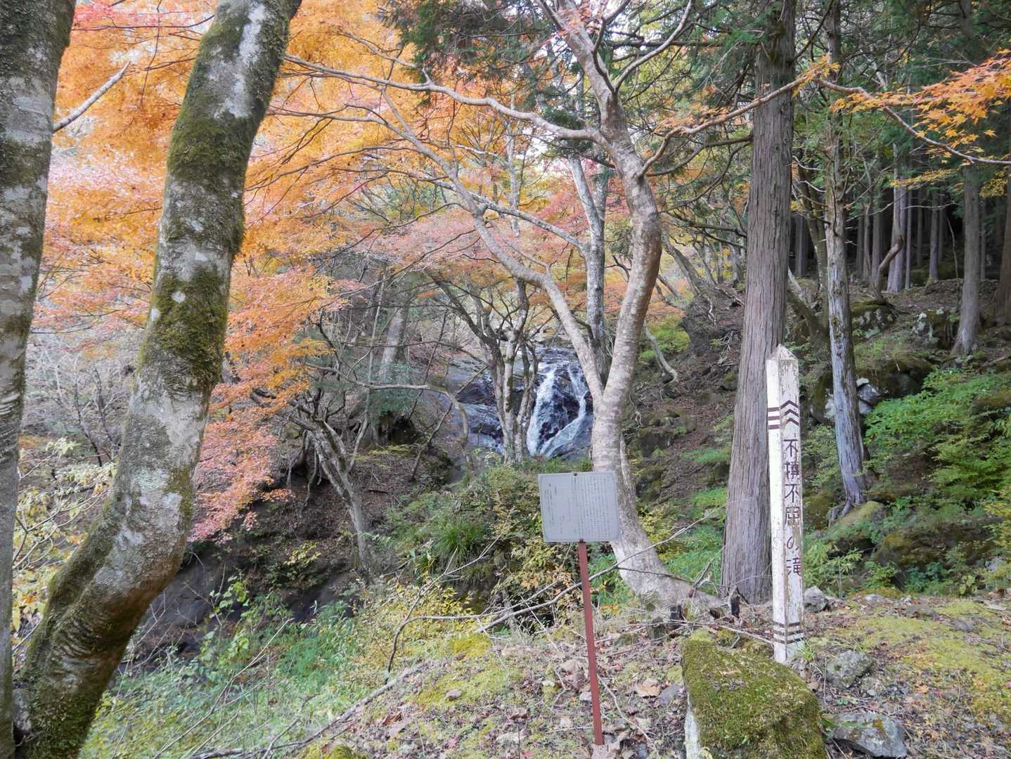 不動不屈の滝と紅葉🍁