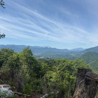 先には桃太郎神社。かなり新しい。中には桃太郎のお人形が鎮座してた。

ここらに鳥居があるはずなんだが...
ああ...熊蜂でもう無理...。
