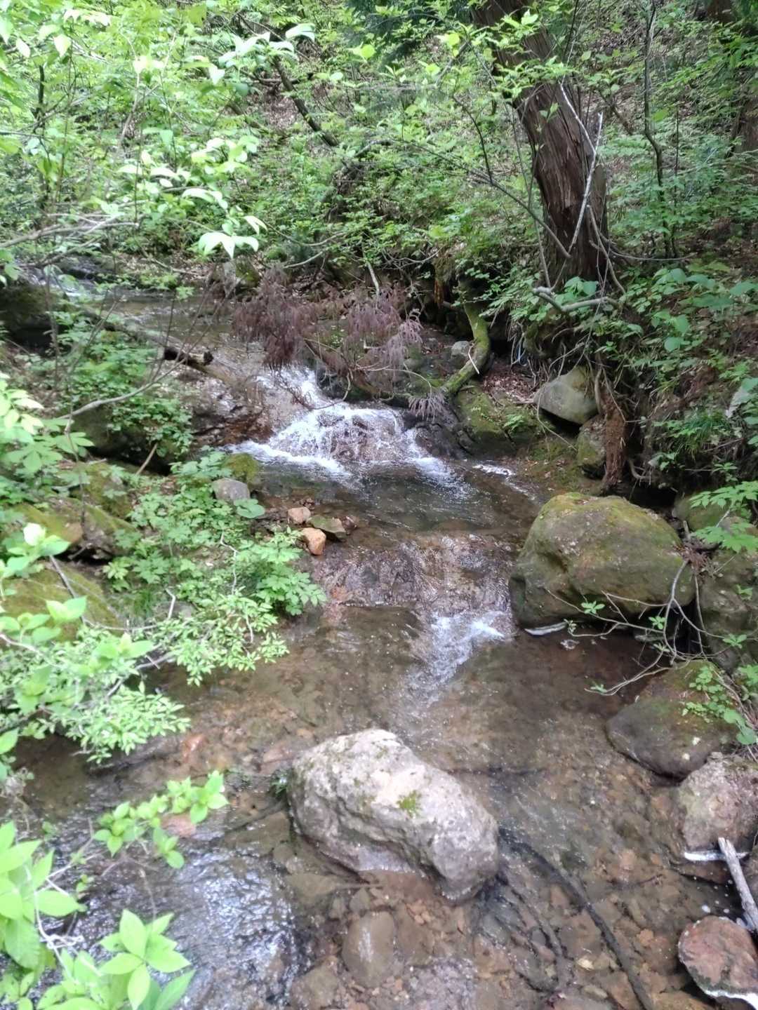烏帽子岳 往復コースの写真