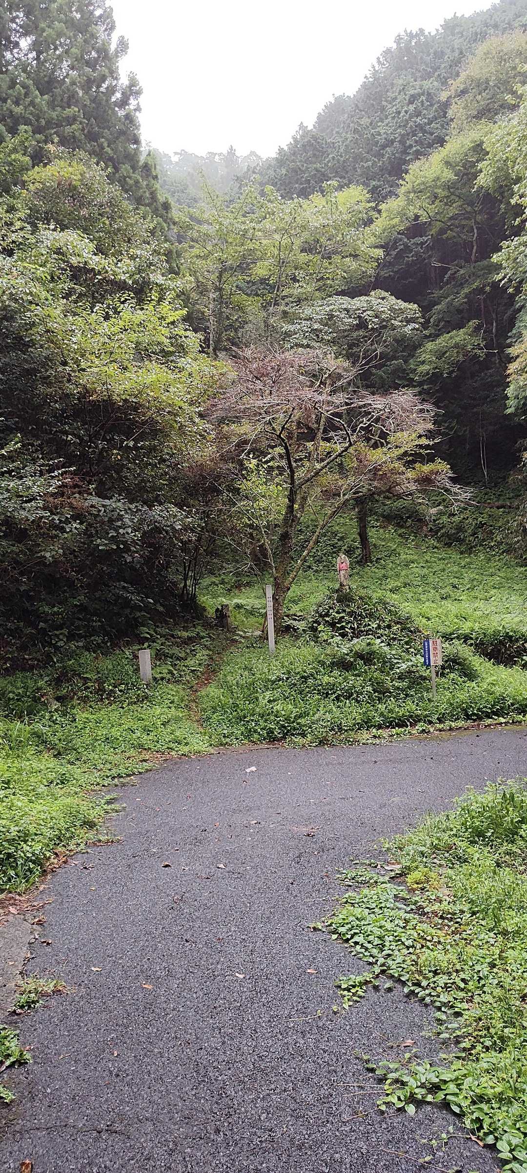 仏国寺-高取山 往復コースの写真