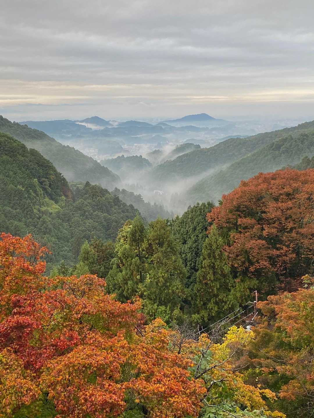 向こうの傾いた台形は畝傍山でしょうか？
最後に雨も上がって良い山行になりました。
長々とすいません💦
ありがとうございました🙇🏻‍♂️