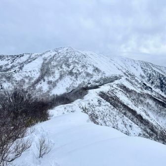 先行者が撤退してきた...
(下山後インスタのフォロワーさんと発覚)
予報以上の曇天と地吹雪だとか