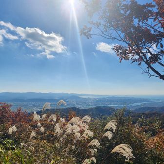 紀の川から和歌浦まで