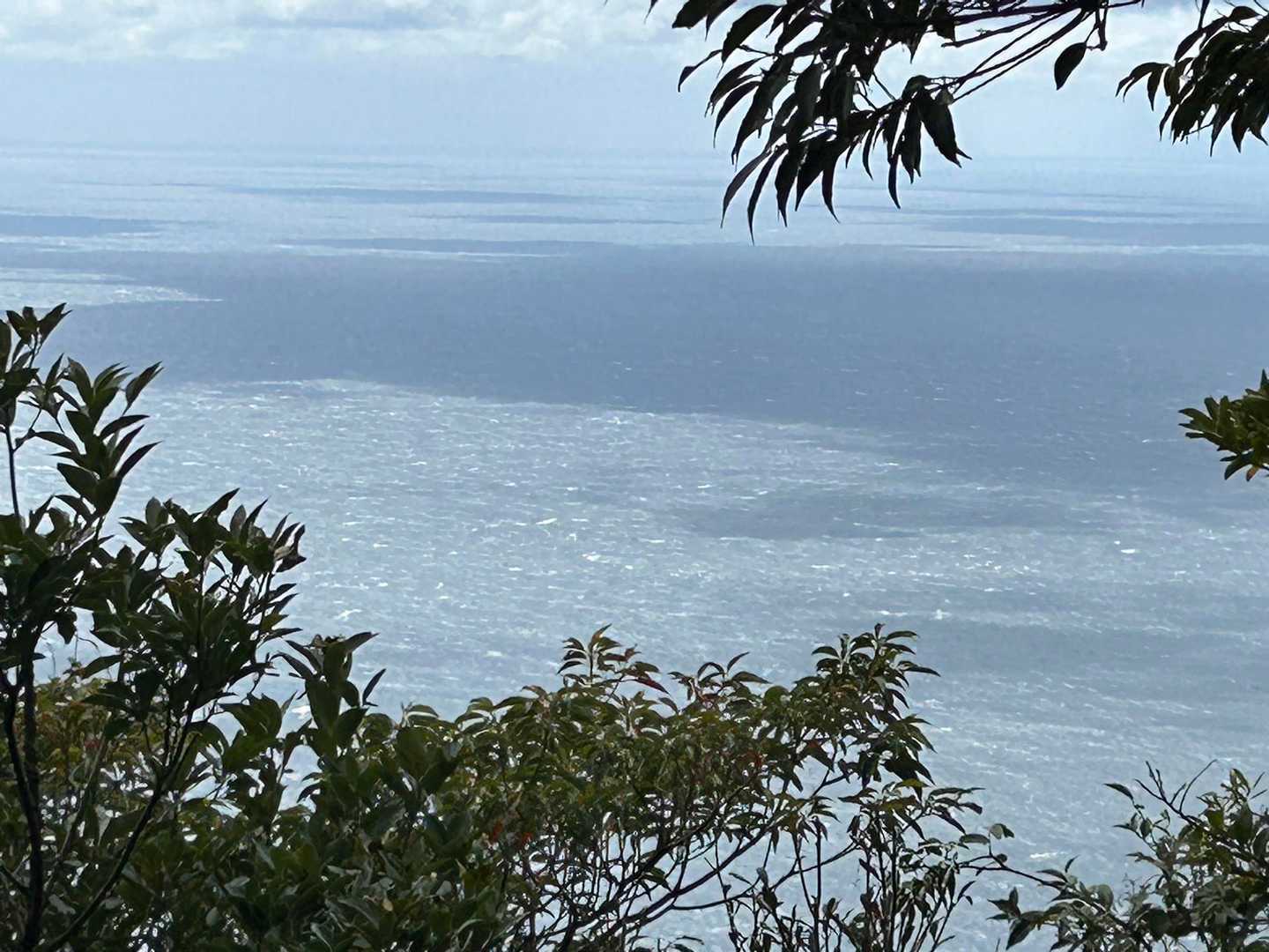 第一展望所からの海🌊