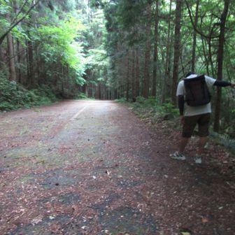 登山口まで車で行けます