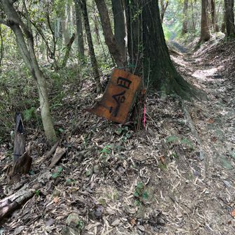 傾ていたため、遠くからは「四合目」かと思いました。