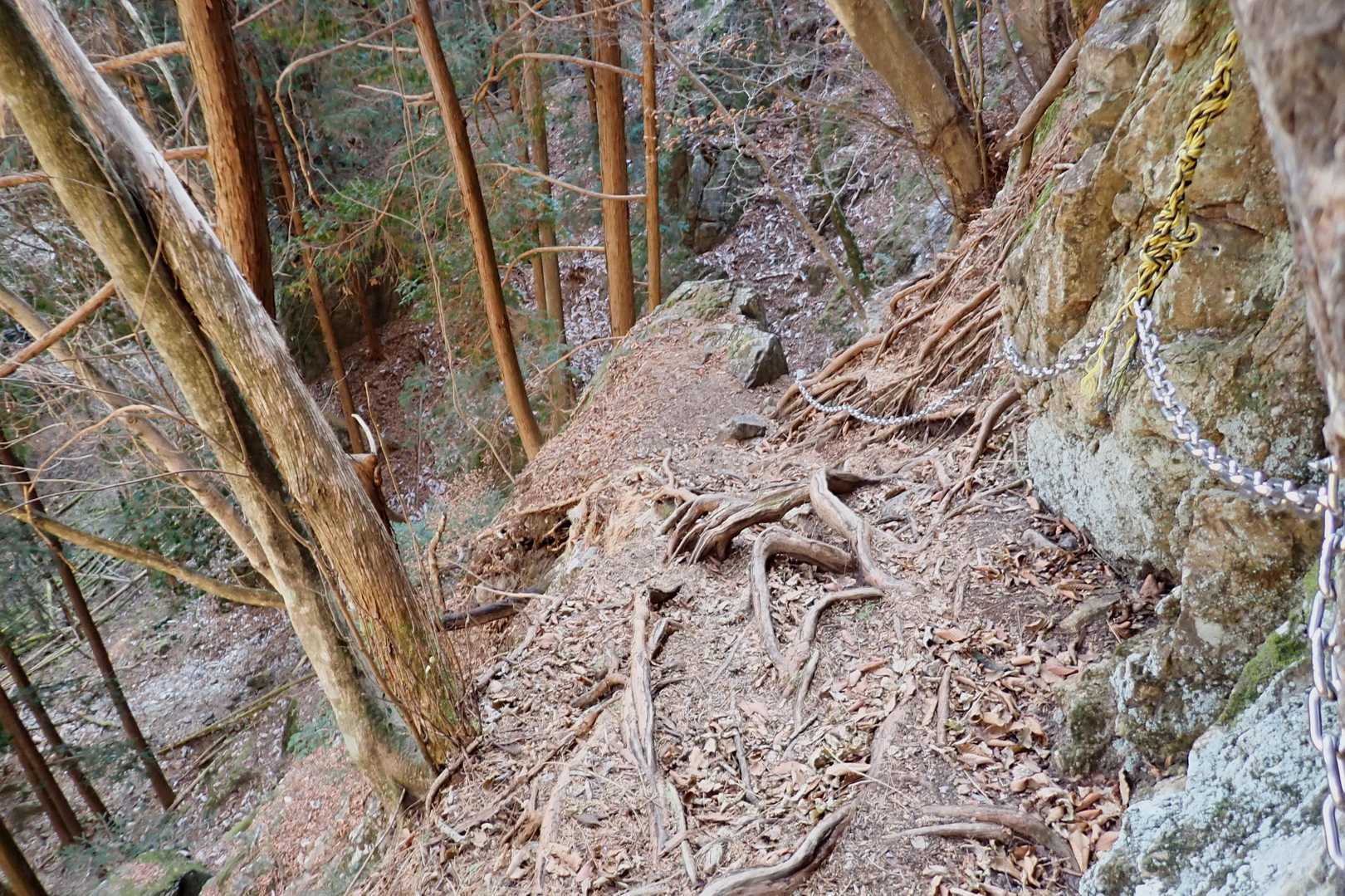根っこにクサリ⛓️

また新たなトラウマか？